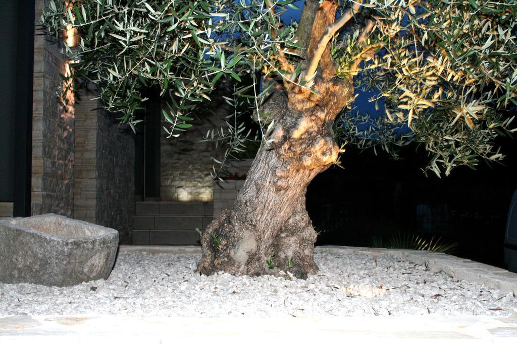 Olive Charm Lägenhet Umag Exteriör bild